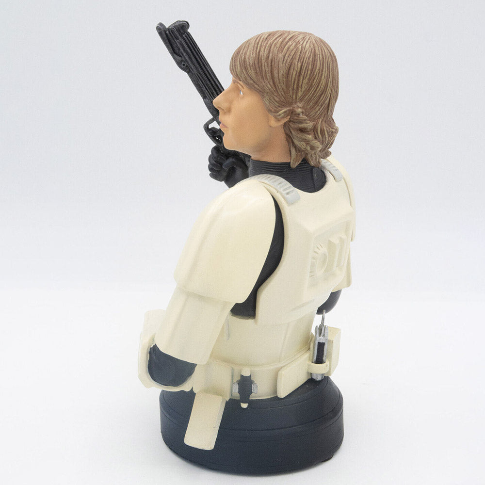 Gentle Giant Star Wars Büste Luke Skywalker in Stormtrooper Disguise Limited