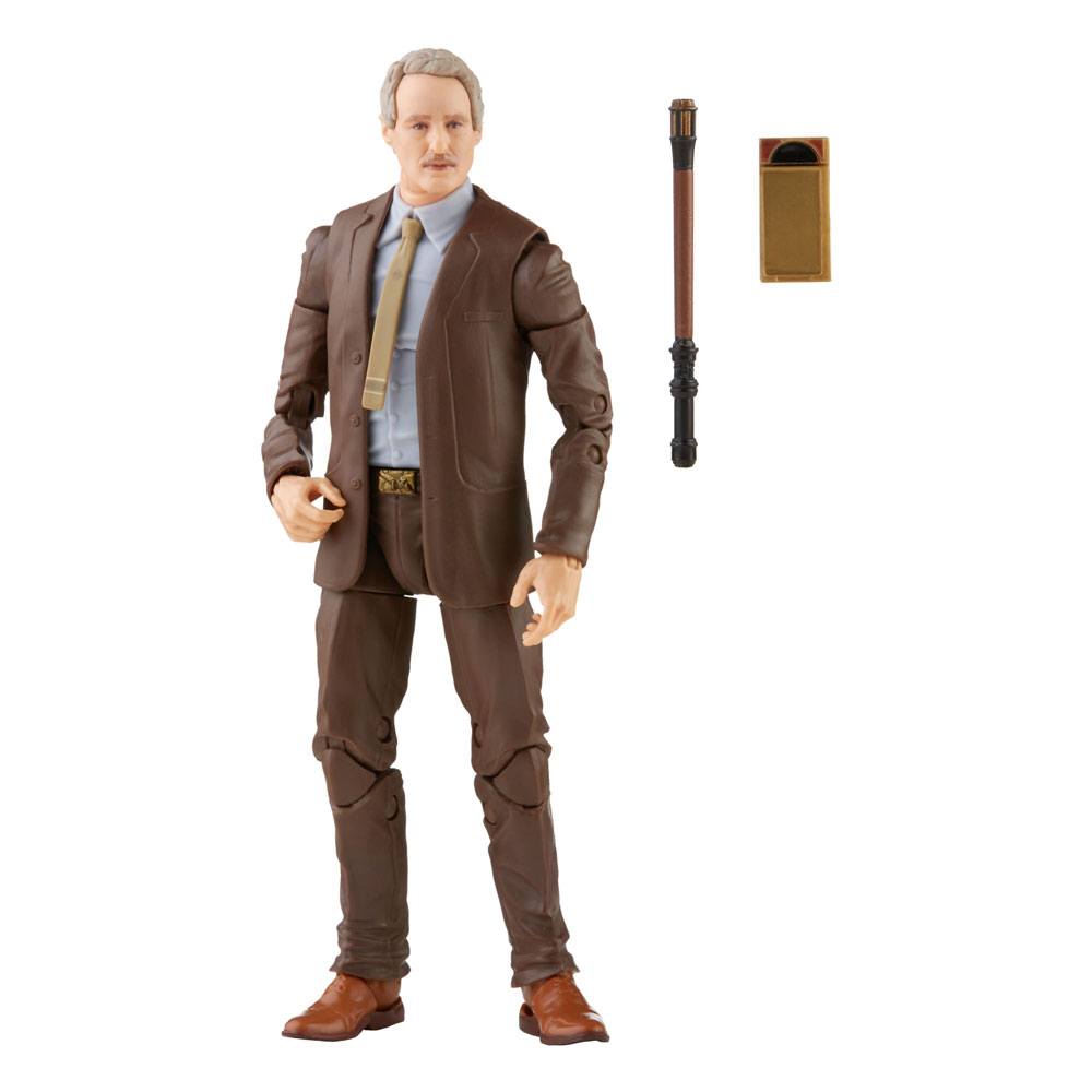 Marvel's Mobius, Loki Marvel Legends Series Actionfigur 2021 15 cm