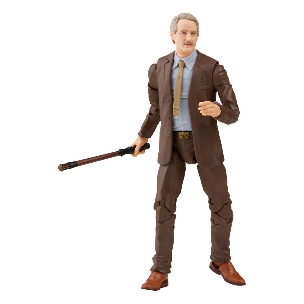 Marvel's Mobius, Loki Marvel Legends Series Actionfigur 2021 15 cm