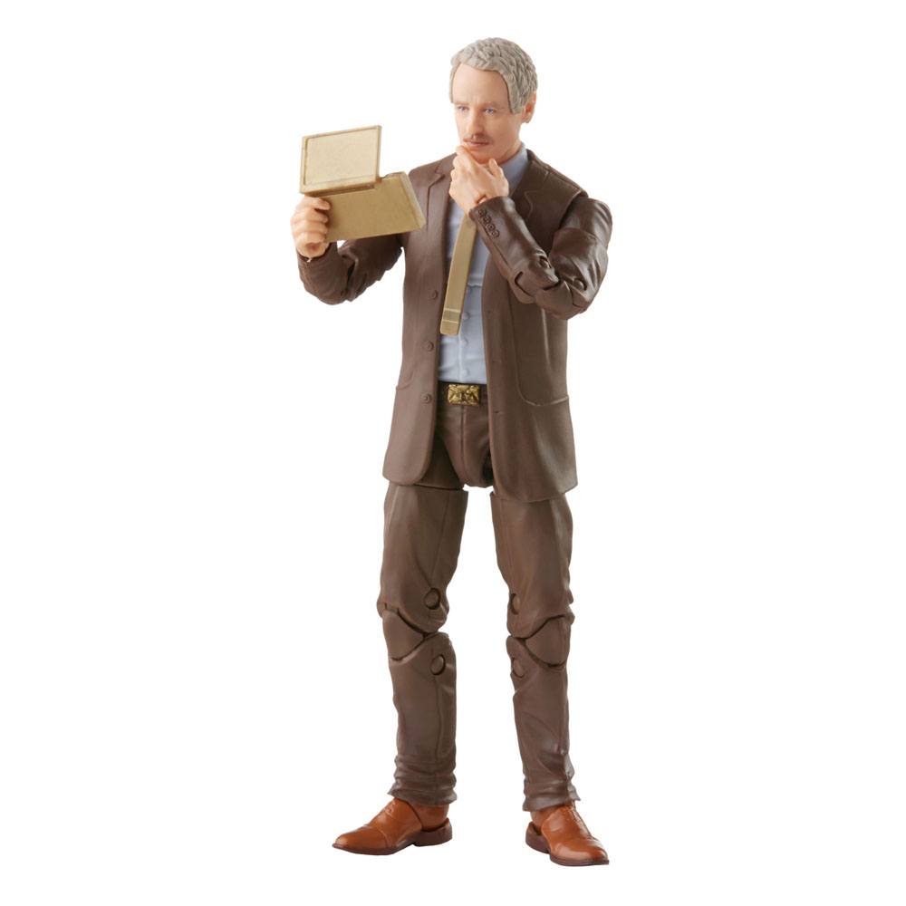 Marvel's Mobius, Loki Marvel Legends Series Actionfigur 2021 15 cm