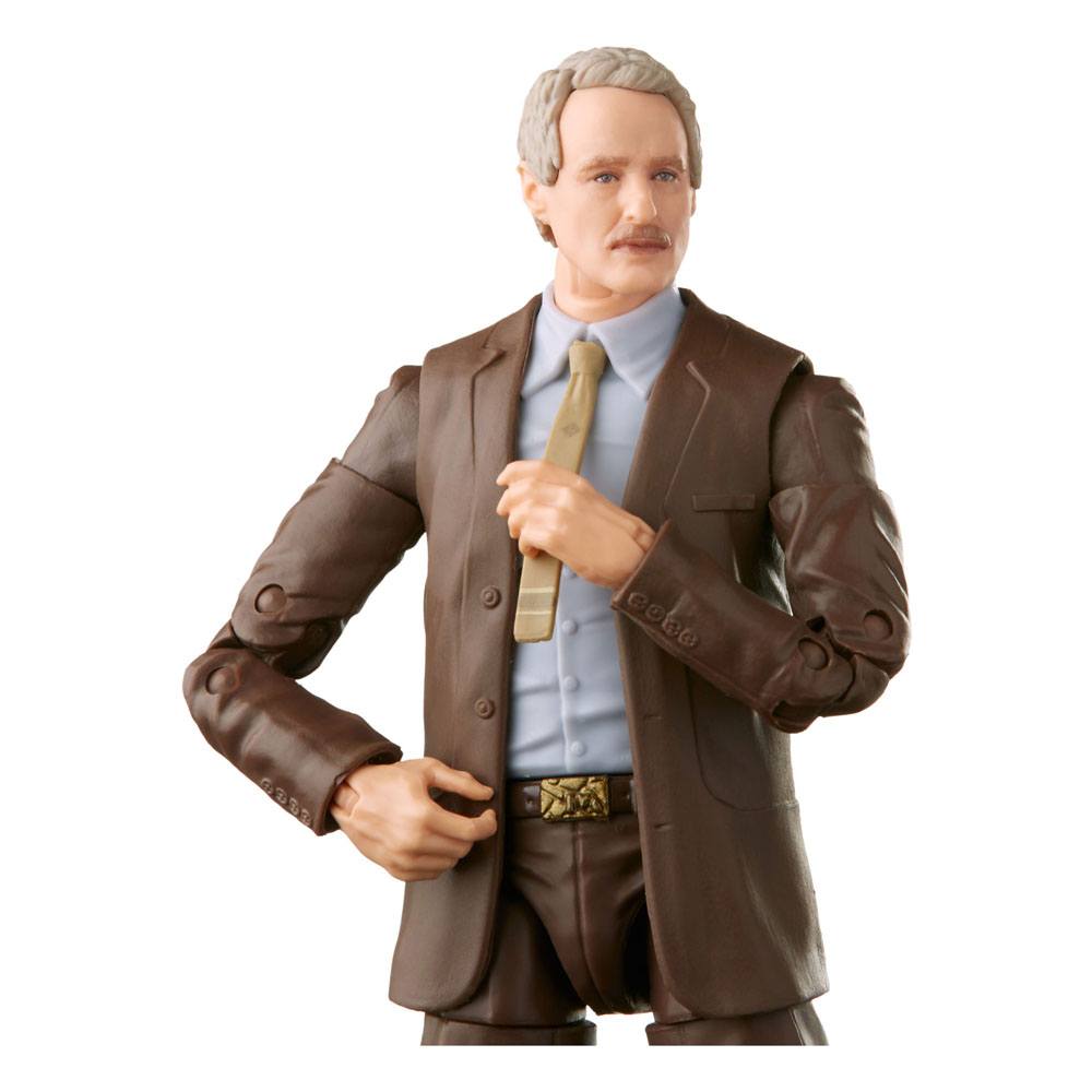 Marvel's Mobius, Loki Marvel Legends Series Actionfigur 2021 15 cm